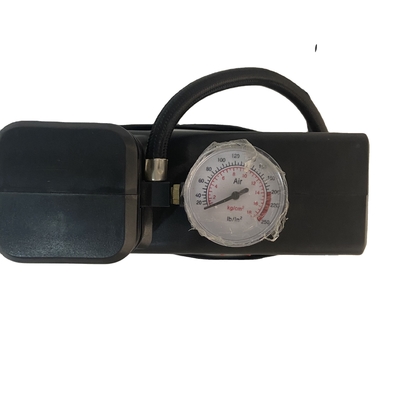 AC110-230V/DC12V Veranderbare stroom Autoband luchtcompressor met spuitstuk